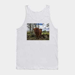 Scottish Highland Cattle Calf 2007 Tank Top